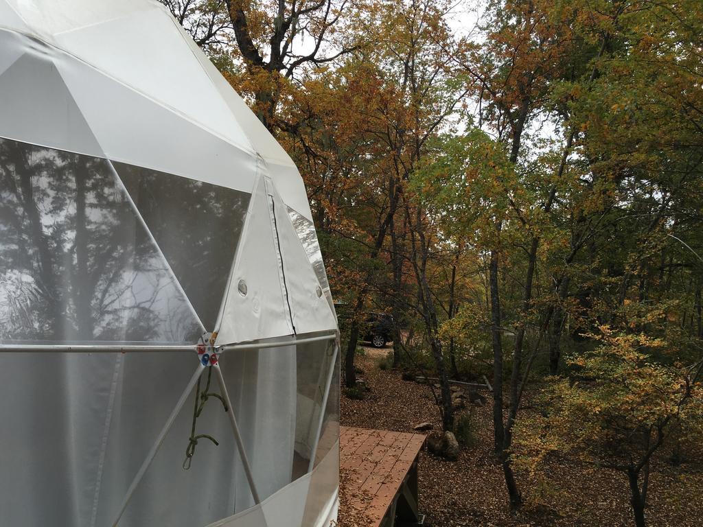 Hotel Glamping Domos Treepod Las Trancas Zewnętrze zdjęcie