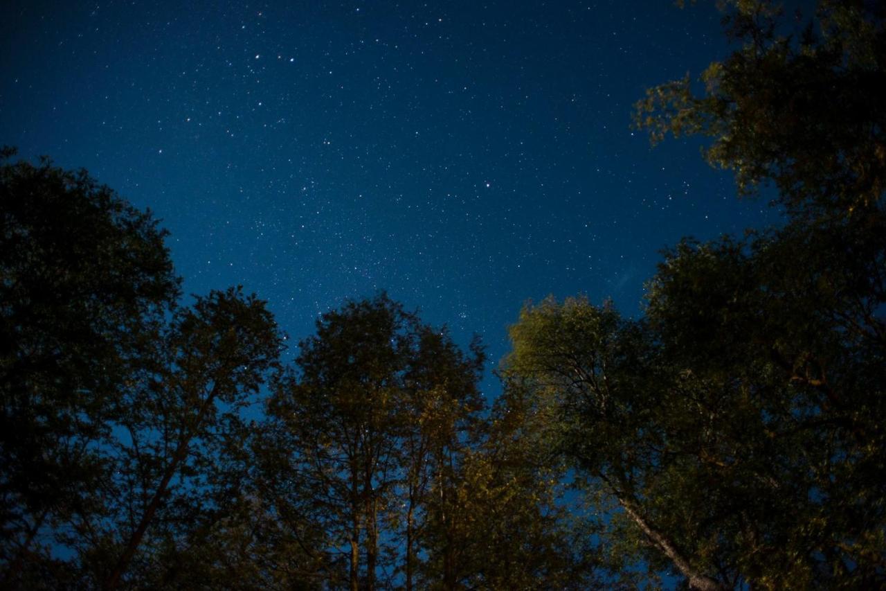 Hotel Glamping Domos Treepod Las Trancas Zewnętrze zdjęcie